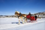 We have a few outfitters in our area to enjoy a sleigh ride. 